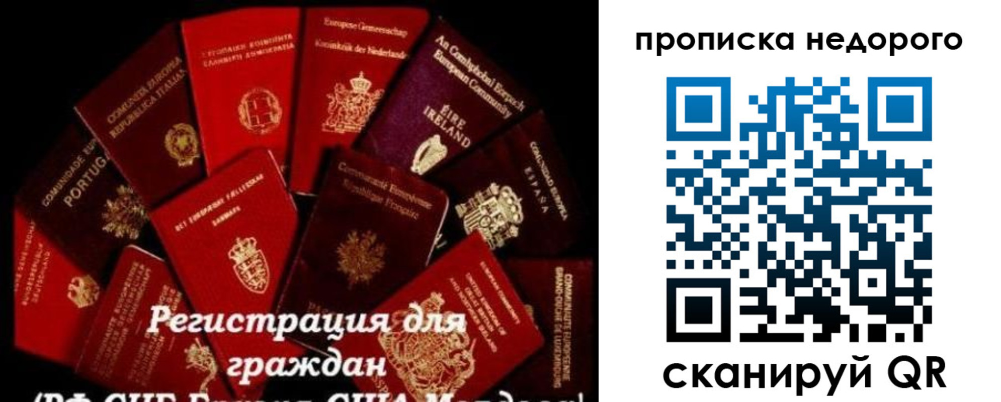 временная регистрация недорого в Павлово